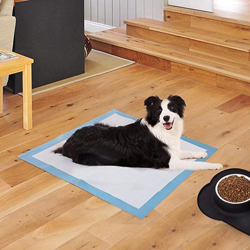 disposable dog bed covers