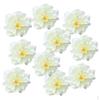 10 Pcs 9 Cm Artificial Silk Peony Heads Simulation Flowers for DIY Headwear Decor