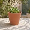 Durable Garden Planter Terracotta Flowerpot, Clay Plant Pot with Drainage Hole, Porous Succulents for Indoor Outdoor Plants Cacti Herbs Thick