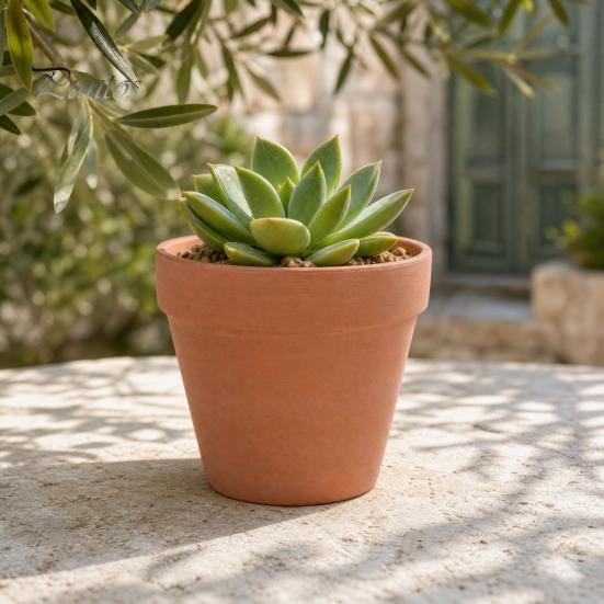 Durable Garden Planter Terracotta Flowerpot, Clay Plant Pot with Drainage Hole, Porous Succulents for Indoor Outdoor Plants Cacti Herbs Thick