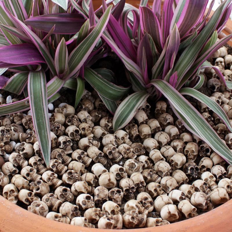 Skull Simulation Medium Set: Creative Flower Pot & Micro Landscape Paving Stone Ornaments.