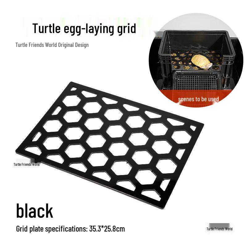 Turtle Egg-Laying Pond & Incubation Box with Basking Platform and Sand Pool