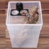 Dual Purpose Insect Feeding Dish Plastic Gecko Feeding Ledge Reptile Feeder Bowl  for Snake