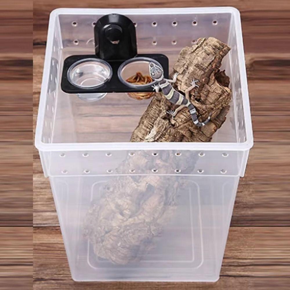 Dual Purpose Insect Feeding Dish Plastic Gecko Feeding Ledge Reptile Feeder Bowl for Snake