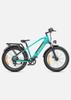 ENGWE E26 High-Step Electric Bike with 26x4.0 Fat Tires, 250W Motor, 48V16Ah Battery, 140KM Range – Ideal for Adults & Long Commutes