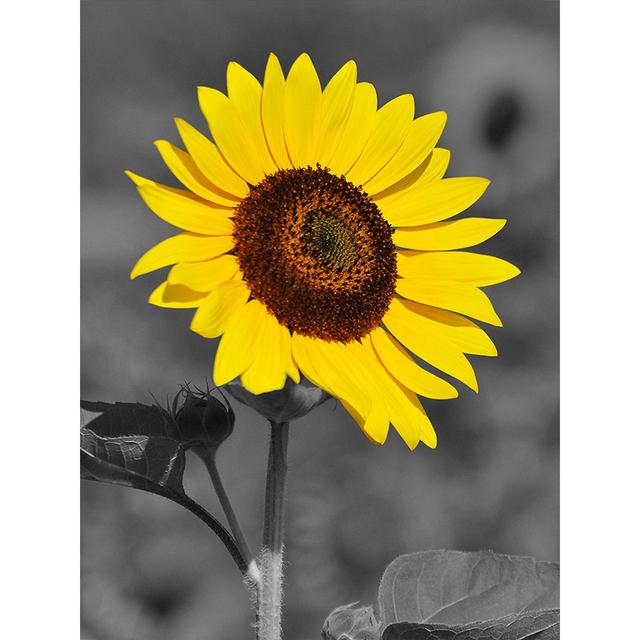 Graue Serie von Pflanzenblumen, dekoratives Gemälde, Sonnenblumen-Ölgemälde, Poster, Sofa, Wandhintergrund, Kunst, Leinwand, hängendes Gemälde