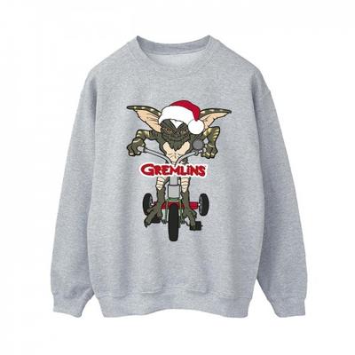Womens/Ladies Bike Logo Sweatshirt