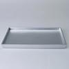 Diora Large Decorative Rectangle Tray In Silver Color