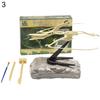 Dinosaur Fossil Skeleton Excavation Dig Up Kit DIY Assembly Educational Kids Toy