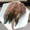 Colorful Rooster Feather Soft Fluffy Plumes Handmade Cock Feather  For Costume Decoration