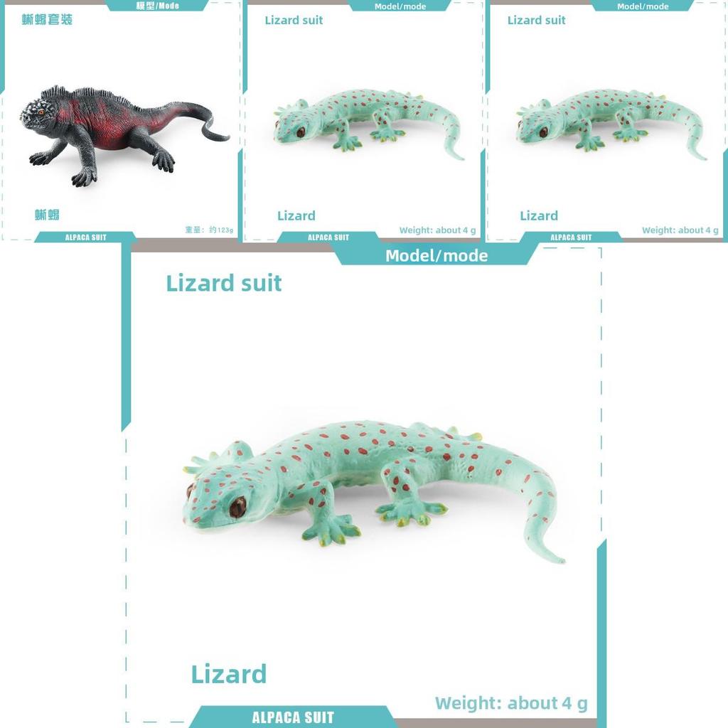 Realistic Reptile Lizard Chameleon Model With Assembleable Chameleon And Gecko Figures For Collectors And Kids
