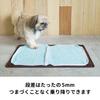 HARIO Dog Toilet Mat Wide Dog Cat Nursing Care Old Dog Old Cat Toilet Training PTS-TMWC-CBR