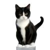 Cat Spring Car Rocking Black White Cat Figurine 2d Flat Acrylic Swaying Dashboard