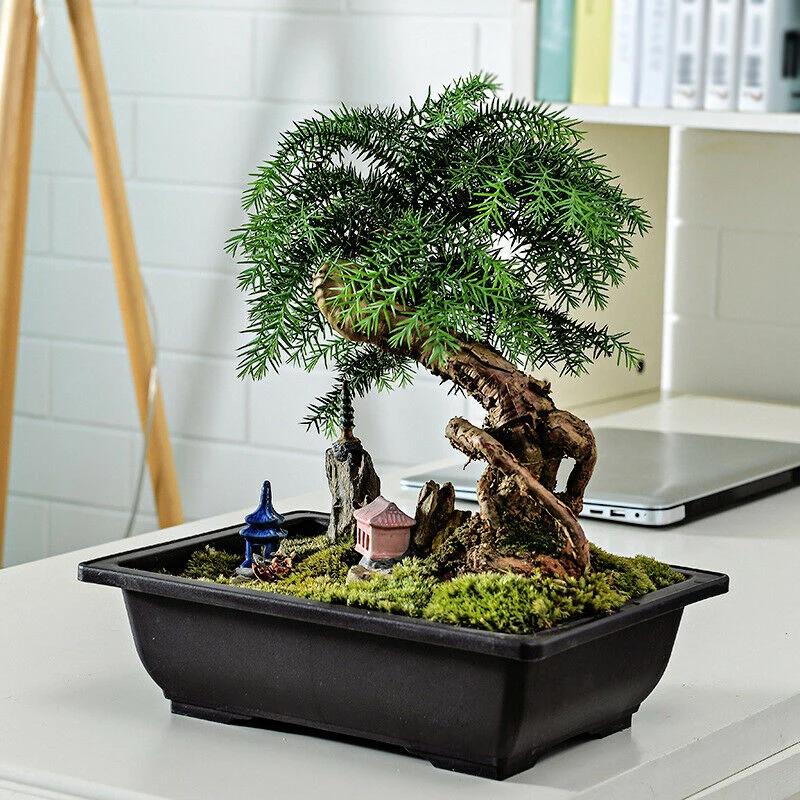 Container Flower Pot Holder Living Room Nursery Plastic Rectangle Reusable Saucer Antique Balcony Bonsai Garden