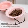 Cute 15° Tilted Ceramic Cat Bowl Double Pet Feeder Bowl with Iron Stand Anti-slip Elevated Food Water Bowl for Small Dogs Cats