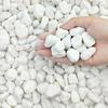 FANTIANHigh-Quality White PebblesWhite Makeup Xianyu PebblesMarble PebblesDecorative StonesWhite Jade Stones Indoor Plants Succulent Decorative Rocks