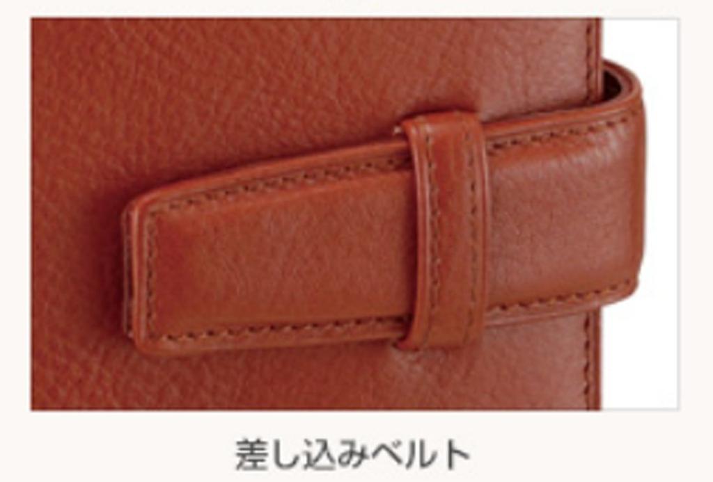 Raymay Fujii System Organizer Da Vinci Standard Bible Green DB3006M