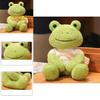 Adorable Frog Plush Toy Perfect Gift For Kids And Girlfriends