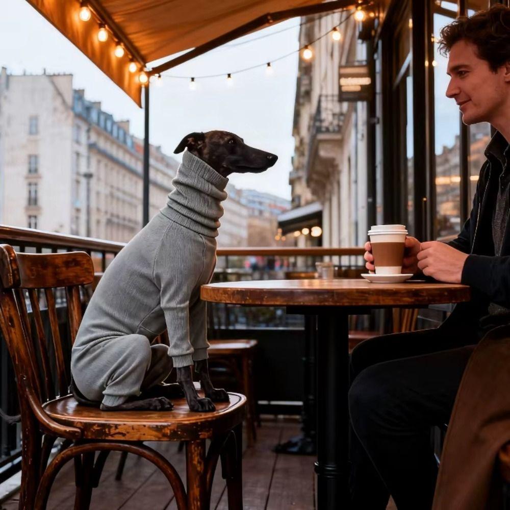 Elastic Pet Turtleneck Clothes Warm Dog Four Legged Clothes Pet Sweater Pet Pajamas  Outdoor
