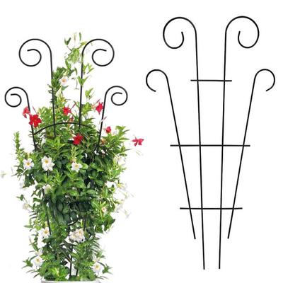 Soporte para plantas trepadoras de interior, de metal, de fácil instalación, resistente a la oxidación, de gran estabilidad y para cultivo vertical