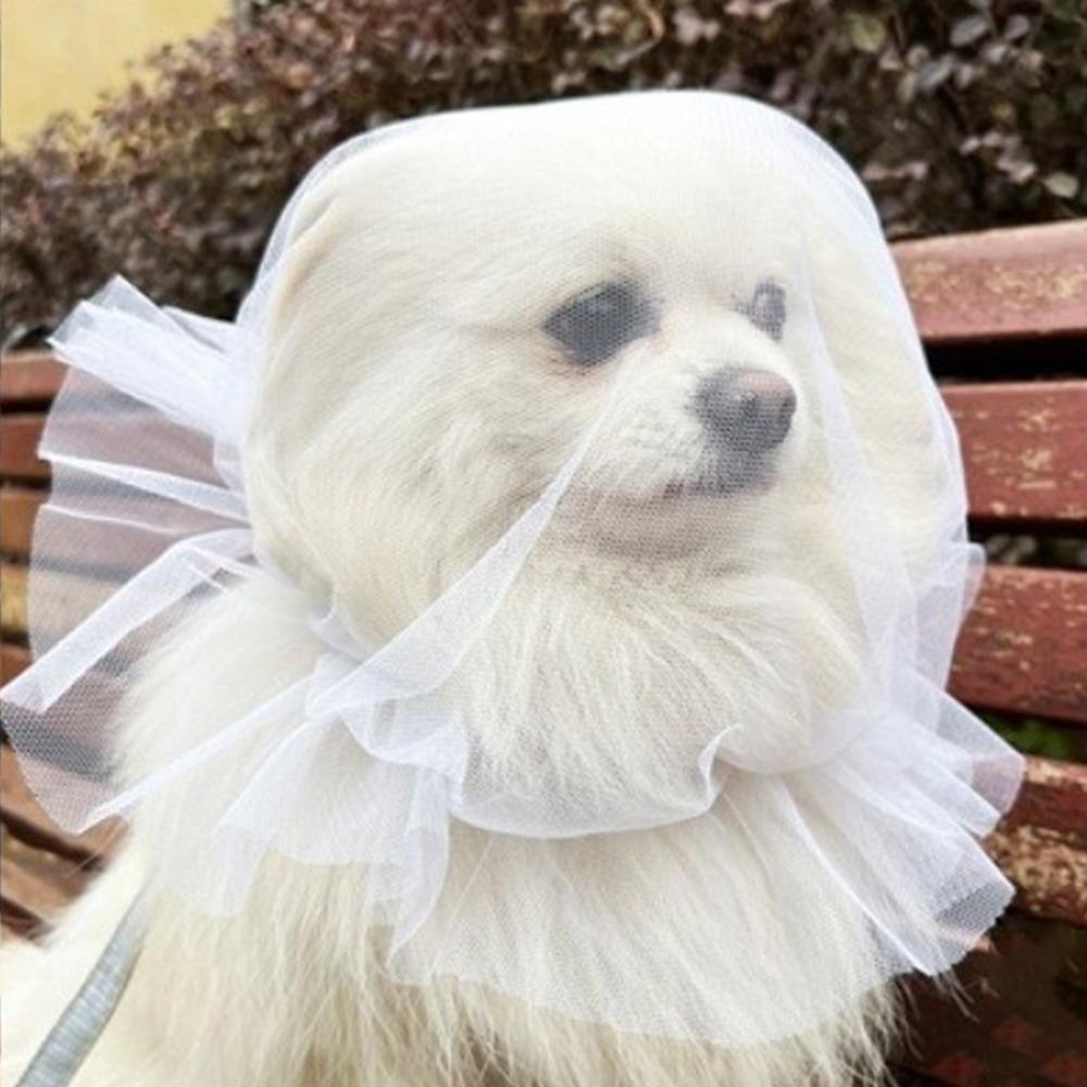 

Дышащая накидка для собаки против поедания, регулируемая эластичная намордник-сетка для домашнего питомца, полиэстер, комфорт, повязка против вылизывания, контроль поведения белый