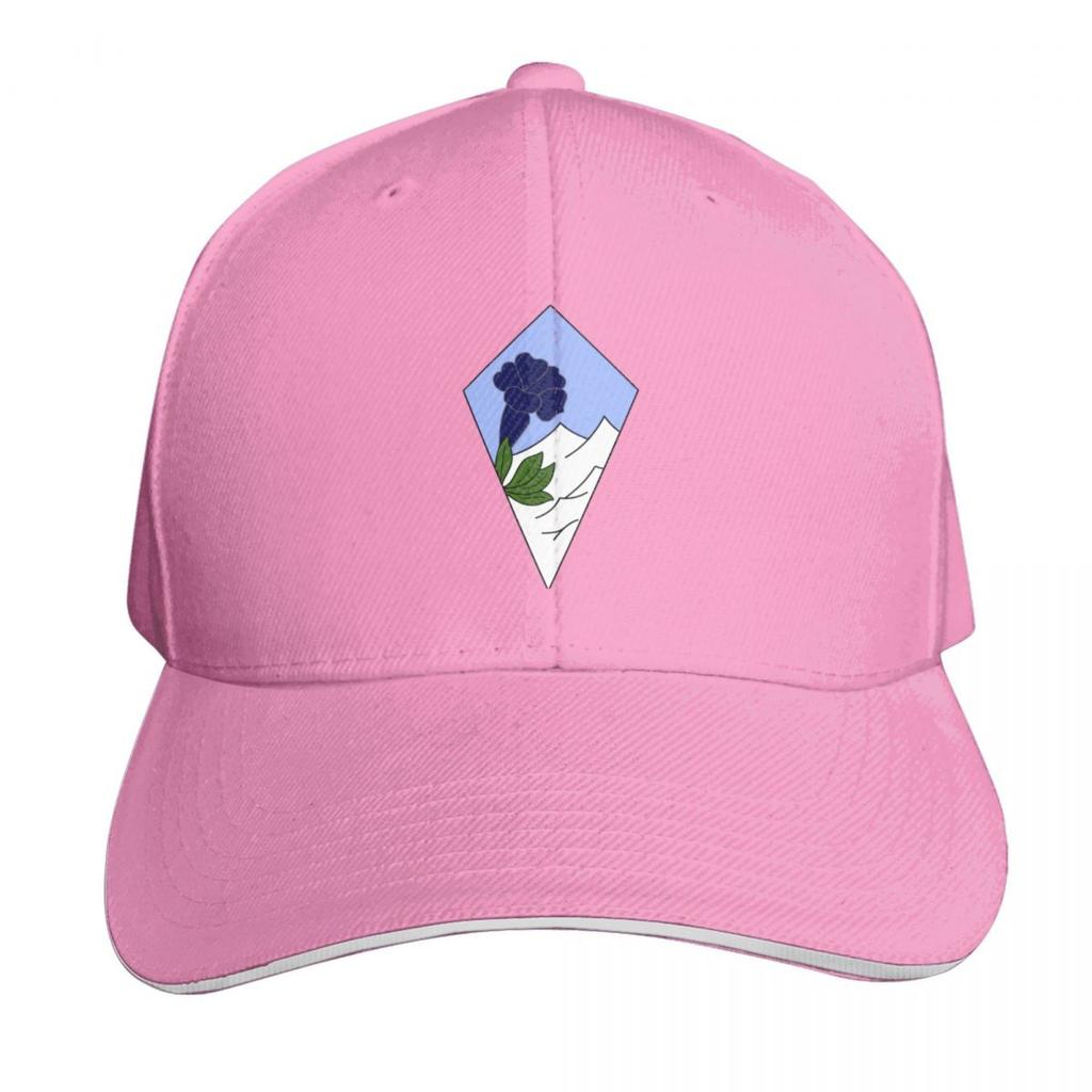 th Mountain Infantry Brigade  e Brigade dInfanterie de Montagne (France) Baseball Cap F Caps Women Unisexs