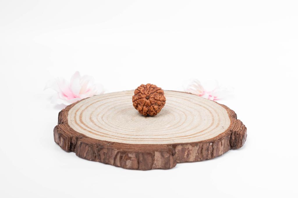 Natürliche 7 Mukhi Rudraksha-Perle – Nepali-Ursprung | Natürliche Perle für Glück & spirituelles Wachstum | Bio & Laborzertifiziert