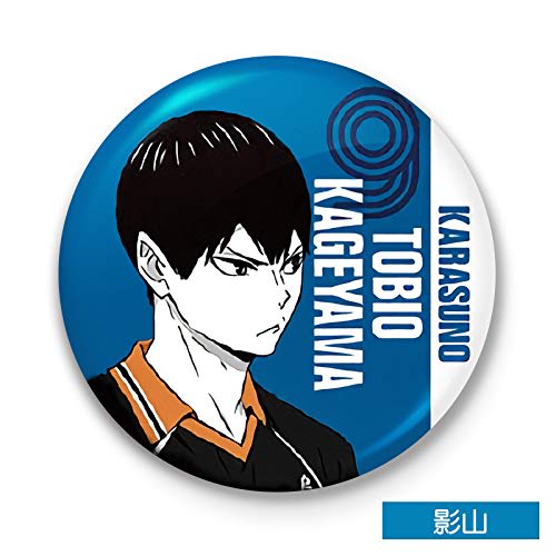 Set of 9 Popular Manga for Haikyu!! Badges, Anime Brooches, Portable, Round, Cute, Stylish, HD Design, Portable, Perfect for High School and Middle Sc