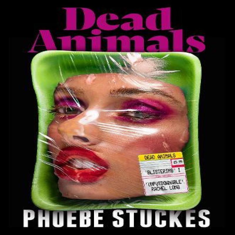 Dead Animals by Phoebe Stuckes Paperback Book 9781399728140