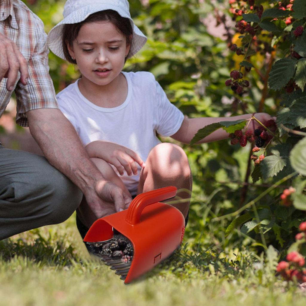 Zbieracz Jagód Zbieracz Wiśni Z Ergonomicznym Uchwytem I Grzebieniem Czerpak Grabie do Borówek do Zbioru Zbieraj Liście Trawnik Sadzenie Drzew