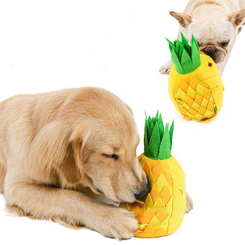 squeaky pineapple dog toy