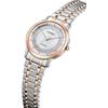 Citizen Men's AR4004-71D ( Watch EXCEED Eco-Drive 10 Second Per Year) Watch