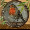 Vintage Metal Tin Sign Robin Wall Art Home Bar Decor Rustic Bird