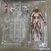 Cool Anime Model Statue Atta on Titan Fem Giant Anime Figure Joint Movement Pvc Collectible Toy for Fans over 4 Years