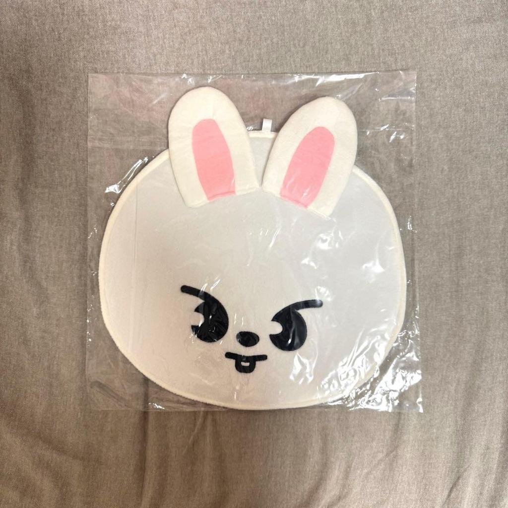 [USED] Straykids Fan Cover Leavitt