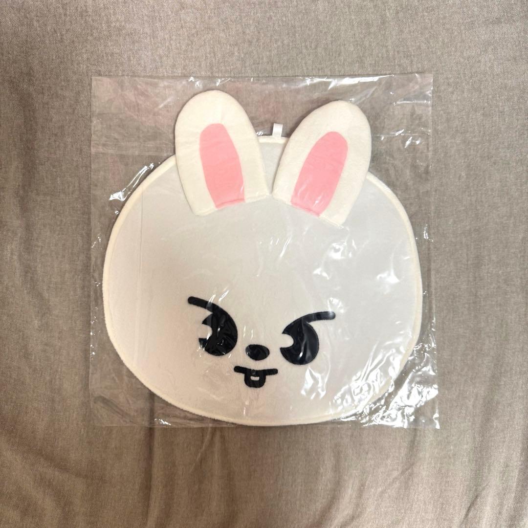 

[USED] straykids fan cover Leavitt