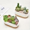 Facecolor Oval Cactus Set of Flower Succulent Ceramic Succulent Mini Ceramic Cactus Planter Small Planter Pots for Mini Plants with Drain Holes and