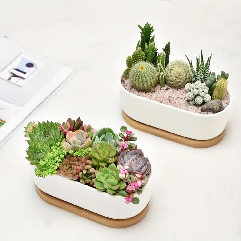 Facecolor Oval Cactus Set of Flower Succulent Ceramic Succulent Mini Ceramic Cactus Planter Small Planter Pots for Mini Plants with Drain Holes and