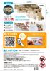 Acton Craft Transformable Rubber Band Gun Mobile Blaster Craft Wooden 3D Craft Kit for Adults and Upper Elementary School Students Kit, Puzzle,