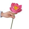 Lifelike Simulated Lotus EVA Decorative Fake Flower Fake Lotus Seedpod  Pastoral Decorative