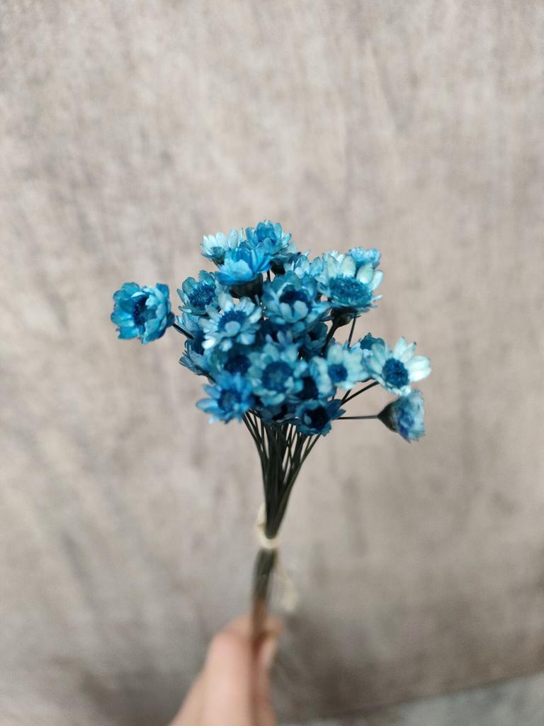 Dry Flower Wedding Party Essential Decorations For Home Home Décor Accents DIY-friendly Pressed Flowers For Party Floral