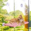 Window Cat Perch with Strong Suction Cups Sturdy for Kitty Indoor Sunbathing Dark gray