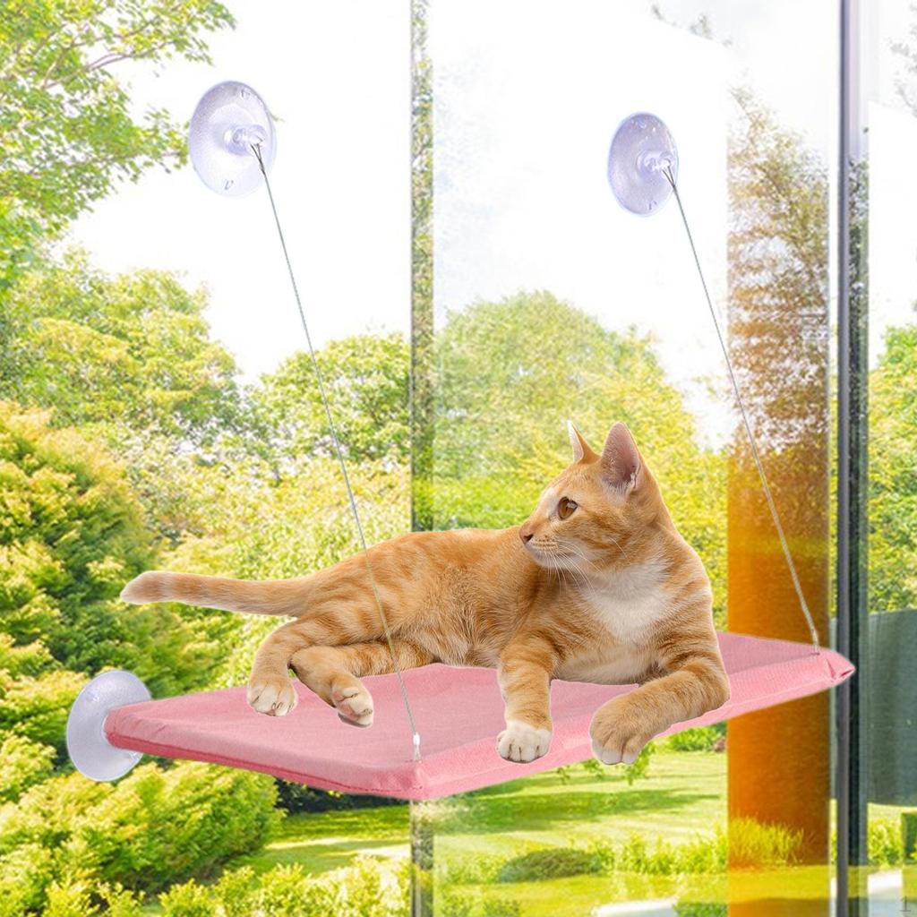 Window Cat Perch with Strong Suction Cups Sturdy for Kitty Indoor Sunbathing Dark gray