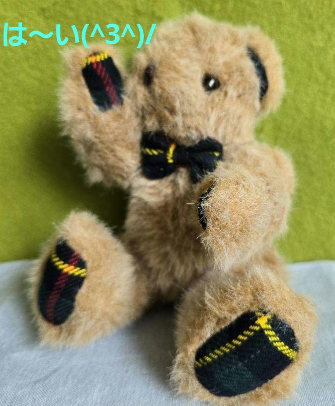 [USED] Teddy Bear, Stuffed Animal, Tartan Check Pattern