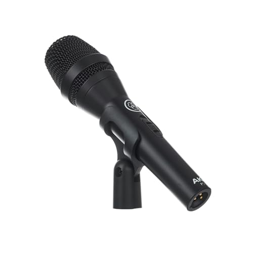 AKG P5 S Supercardioid Vocal Microphone with Switch
