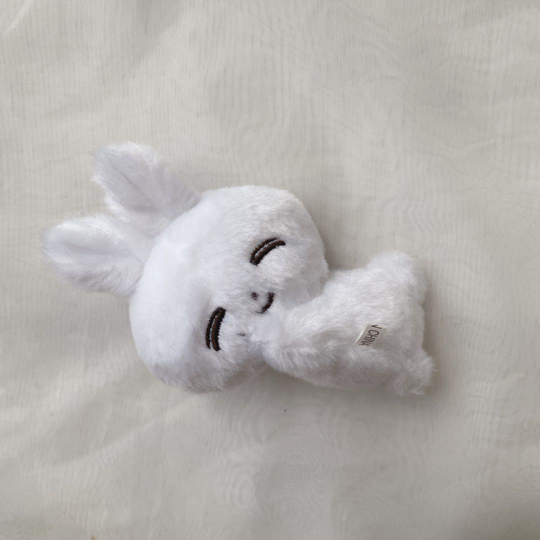 

[USED] Final Price Reduction SEVENTEEN Jeonghan Plush Doll Master