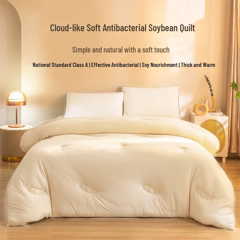 a-life Cloud Soft Antibacterial Soybean Winter Quilt