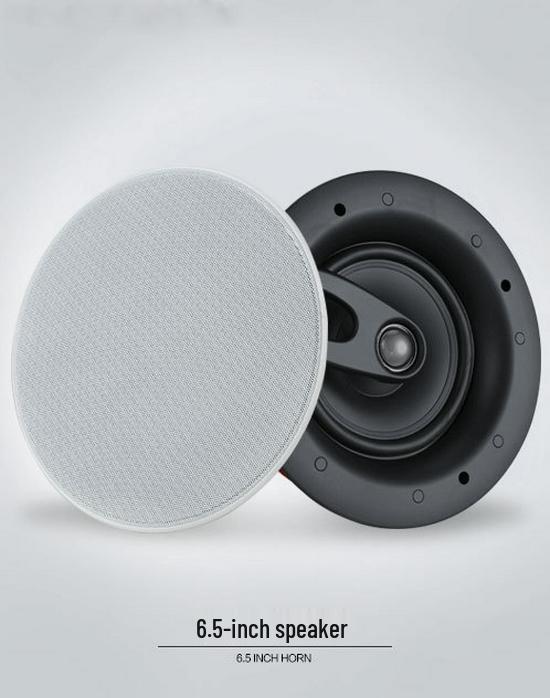 6.5-Inch Ceiling-Mounted Two-Way Coaxial Speaker with Crossover