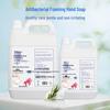 Sheshang Foaming Hand Soap