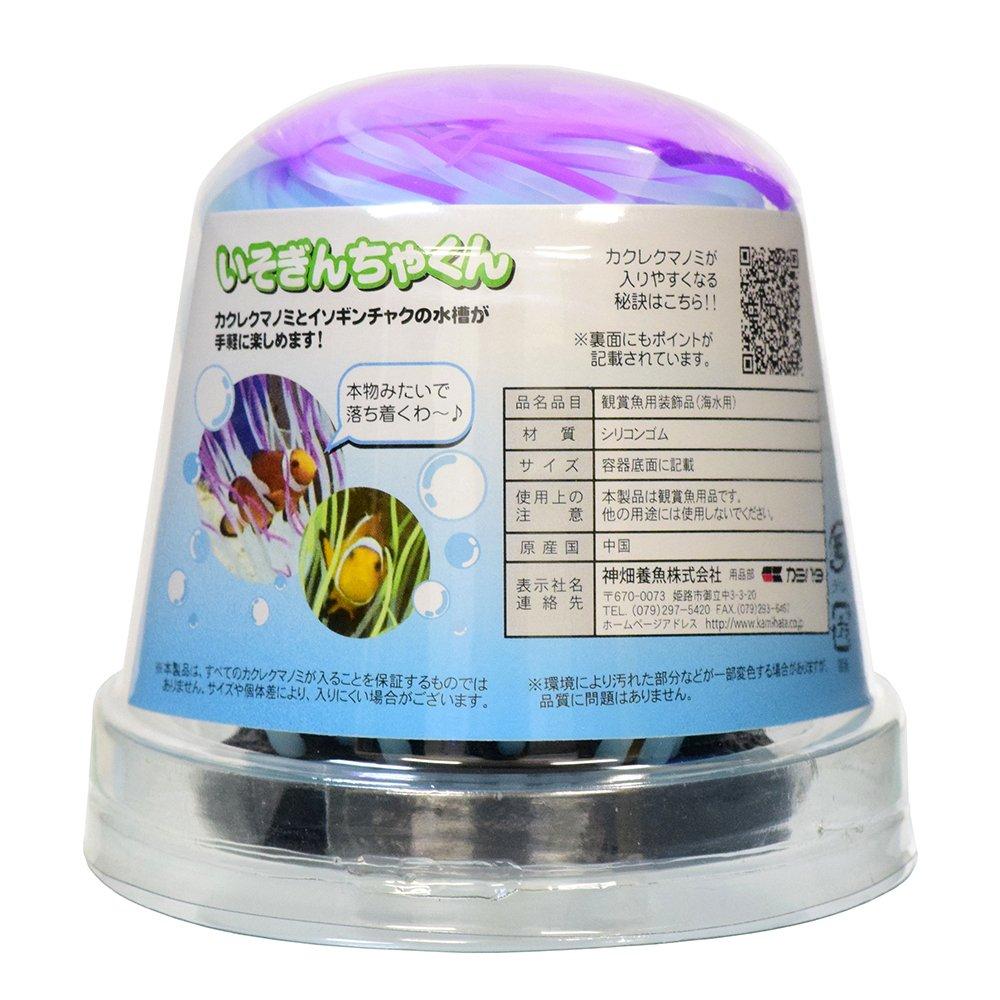 

Камихата Фиолетовый размер М Исогинча-кун